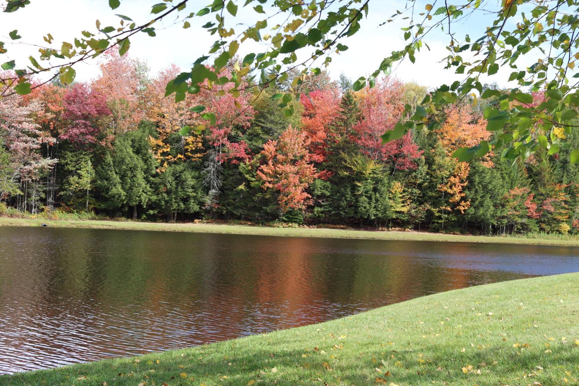 Deerfield Valley Inn - Mt Snow Dover Εξωτερικό φωτογραφία
